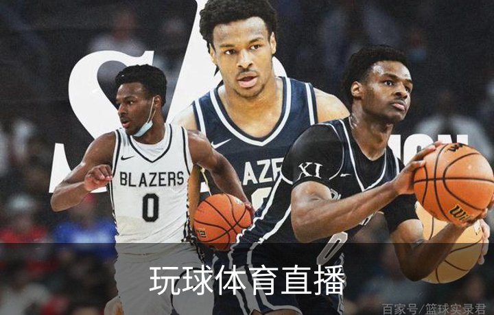 玩球体育直播品牌故事
